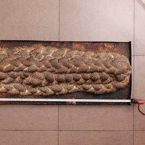 חלת כינור ענק